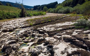 10 thảm họa thiên nhiên gây tổn thất nặng nề nhất trên thế giới năm 2021