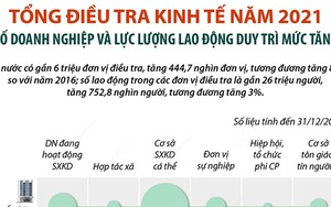 Tổng điều tra kinh tế năm 2021: Số doanh nghiệp và lực lượng lao động duy trì mức tăng