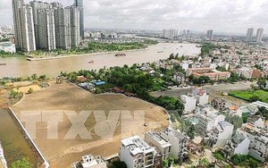 Bỏ cọc sau đấu giá và câu chuyện tăng 'nóng' của bất động sản