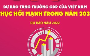 Dự báo tăng trưởng GDP của Việt Nam phục hồi mạnh trong năm 2022