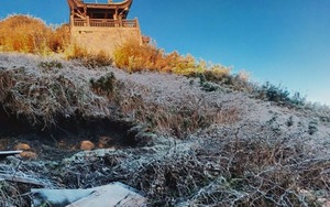 Sương muối phủ trắng đỉnh Fansipan tại Sa Pa, Lào Cai