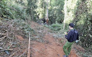 Vụ xe tải lao xuống vực ở Gia Lai: Trước khi xảy ra tai nạn, xe chạy với tốc độ cao