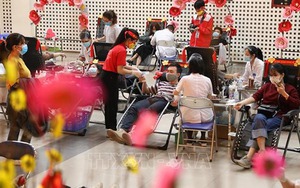 Lễ hội Xuân hồng 2022 - Lễ hội hiến máu lớn nhất Việt Nam sẽ diễn ra từ ngày 12 – 20/2