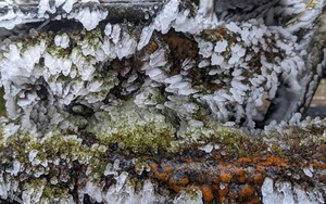 Trong tháng 3, Bắc Bộ còn chịu tác động của không khí lạnh