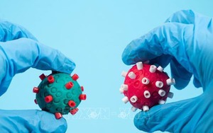 Nhà khoa học Mỹ cảnh báo phát sinh biến thể Covid-19 mới khi virus lây lan trong động vật