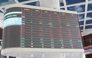 Cổ phiếu họ FLC tiếp tục giảm sàn phiên sáng 30/3