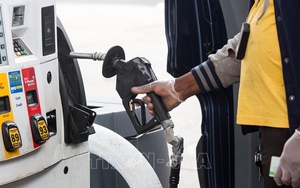 Giá dầu tiếp tục giảm, chứng khoán khởi sắc