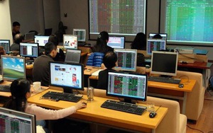 Chứng khoán phiên 9/3: Cổ phiếu dầu khí, hóa chất, cảng biển đồng loạt tăng trần