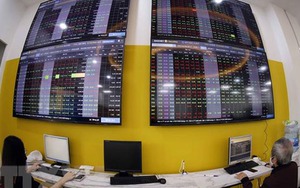 Ba cổ phiếu thuộc 'họ FLC' vào diện cảnh báo từ 26/4