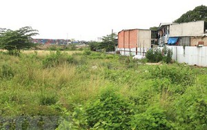 Vi phạm quản lý đất đai – cấp thiết bịt 'lỗ hổng'