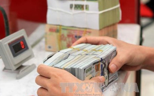 Tỷ giá trung tâm tăng 3 đồng