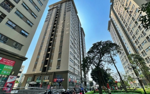 Nam sinh lớp 8 tại Hà Nội rơi từ tầng 18 chung cư tử vong thương tâm