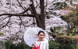 Nhật Bản đứng đầu danh sách điểm đến du lịch yêu thích năm 2021