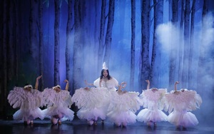 'Bầy chim thiên nga' của Nhà hát Tuổi Trẻ đem yêu thương đến Lễ trao giải Dế Mèn