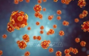 Bộ Y tế khuyến cáo biện pháp phòng viêm gan cấp tính không rõ nguyên nhân