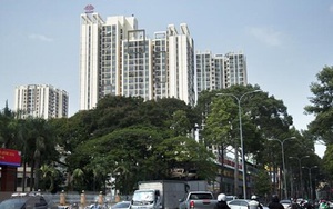 Cấp sổ hồng căn hộ có thời hạn có thể khiến phân khúc này 'chững' lại