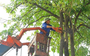 Báo cáo kịp thời tình hình thiên tai, thiệt hại trên địa bàn Hà Nội