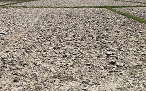 Biến đổi khí hậu gây ra những hiện tượng thời tiết cực đoan trong năm 2022