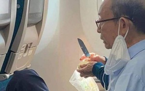 Tạm đình chỉ nhân viên an ninh soi chiếu để lọt dao lên máy bay