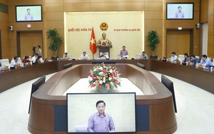 Trình Quốc hội xem xét dự thảo Nghị quyết về thí điểm đấu giá biển số ô tô