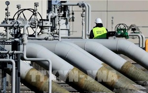 Nga bắt giữ một số đối tượng âm mưu tấn công đường ống TurkStream