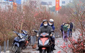 Trình Thủ tướng hai phương án nghỉ Tết Nguyên đán Quý Mão 2023 là 7 ngày và 9 ngày