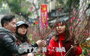 Hà Nội rộn ràng sang Xuân