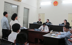 Phúc thẩm vụ án Ngọc Trinh kiện Nhà hát kịch TP.HCM: Chưa có kết quả