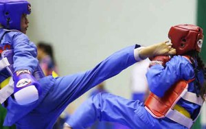 Vovinam 'thử lửa' cho Đại hội TDTT toàn quốc