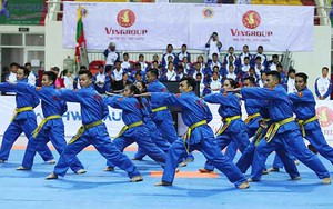 Võ Việt Nam đạt thành tựu mới