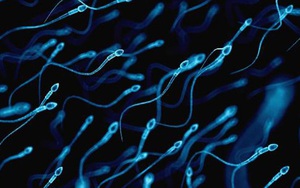 Báo động tình trạng tinh binh của đàn ông ngày càng yếu