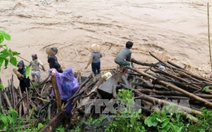 Coi thường tính mạng, người dân vớt củi trong lũ dữ
