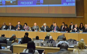 Việt Nam trúng cử Chủ tịch Đại Hội đồng WIPO