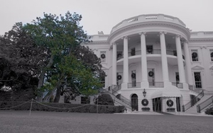 Lý do bà Melania Trump cho chặt cây mộc lan 200 tuổi trong Nhà Trắng