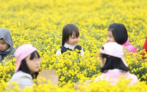 Triển lãm ảnh 'Hoạt động Giáo dục của cộng đồng 91-94'