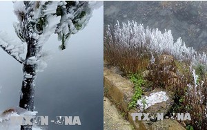 Lạnh 3 độ C, Mù Cang Chải - Yên Bái xuất hiện băng giá