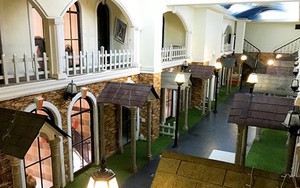 VIDEO: Khách sạn 5 sao dành cho những chú chó