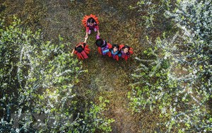 Thời tiết mùng 4 Tết: Mưa khắp miền Bắc, miền Nam nắng ấm