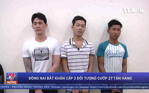 VIDEO: Triệt phá băng cướp dùng vũ khí cướp 27 tấn hàng