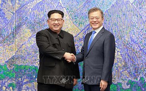 Các tổ chức dân sự hai miền Triều Tiên thúc đẩy thực hiện Tuyên bố Panmunjom