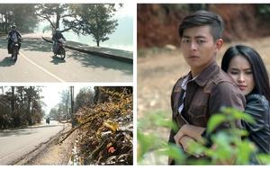 ‘Trang trại hoa hồng’: Đà Lạt đẹp nao lòng trong phim về sự trở lại của những người lầm lỗi