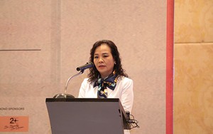 'Phim đoạt giải cao tại Cannes, Toronto, Oscar có thể bắt đầu từ ý tưởng nhỏ'