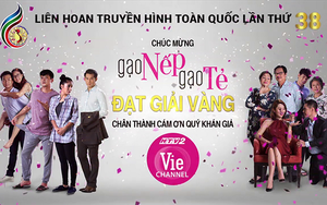 Liên hoan Truyền hình toàn quốc 2018: Lê Phương 'xuất sắc', 'Gạo nếp gạo tẻ' đoạt giải Vàng