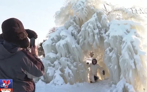 VIDEO Hiện tượng khí lạnh 'xoáy cực' tại Mỹ: Đến tóc cũng đóng băng
