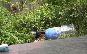 Công an phát thông báo nhận dạng hai thi thể bị lấp bê tông ở Bình Dương