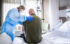 Hà Lan thông báo thêm một bệnh nhân nhiễm virus SARS-CoV-2 từ chồn