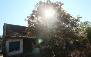 Bắc Bộ và các tỉnh từ Thanh Hóa đến Quảng Trị có nơi nắng nóng đặc biệt gay gắt