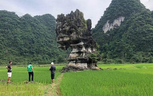 Đánh giá khảo sát Công viên địa chất toàn cầu UNESCO Non nước Cao Bằng