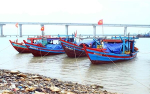 Thực hiện nghiêm Công điện của Thủ tướng Chính phủ về ứng phó với bão số 2