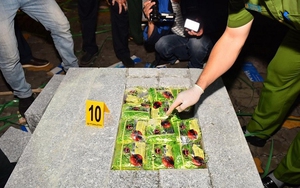 Mở rộng điều tra đường dây vận chuyển ma túy sang Hàn Quốc